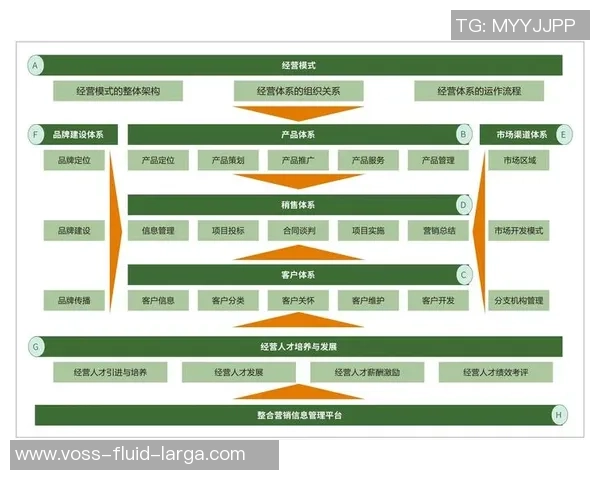 深入分析北京篮球队的运营策略与市场推广模式