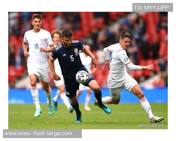 波黑足球现役明星球员全景盘点与成就分析 波黑足球现役明星球员全景盘点与成就分析