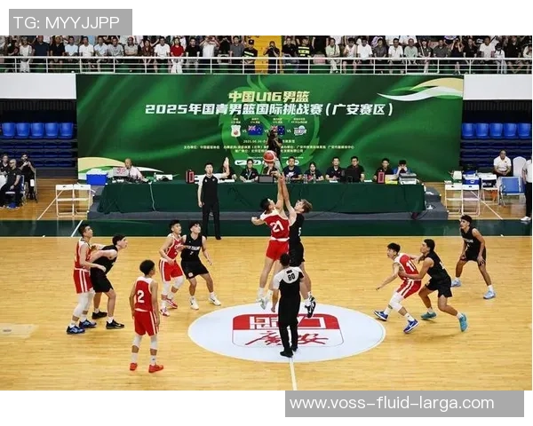 篮球盛宴:深入分析广州篮球队的战术布局与比赛策略 篮球盛宴:深入分析广州篮球队的战术布局与比赛策略