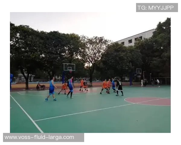 西安篮球队团队协作的力量与魅力探讨 西安篮球队团队协作的力量与魅力探讨