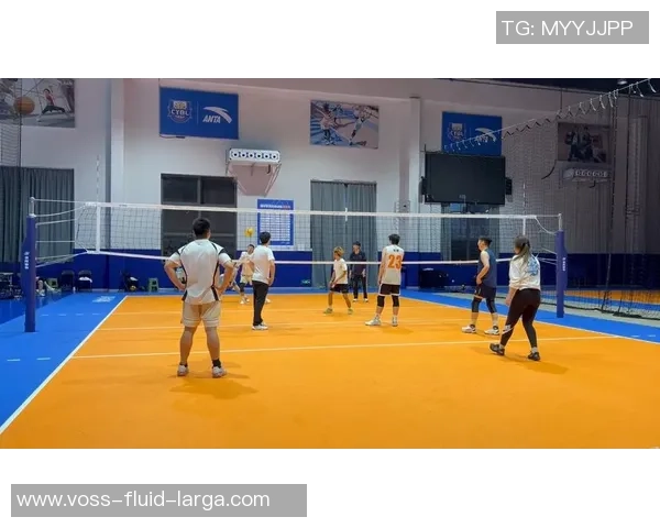 重庆排球队的实力分析与发展潜力探讨