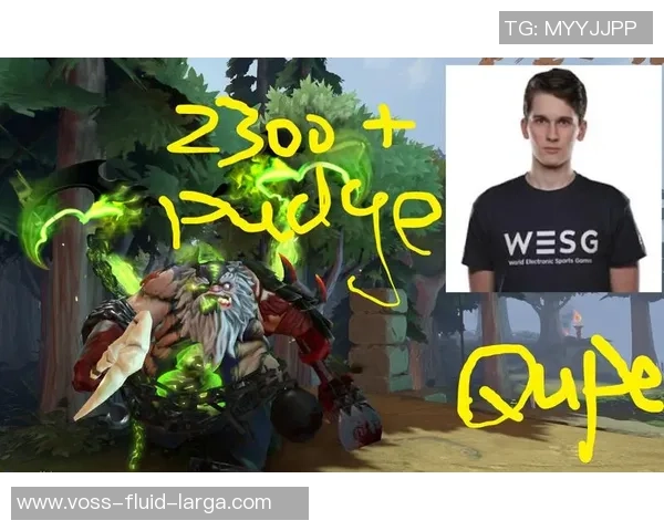 DOTA2深度：解密V5的盯防