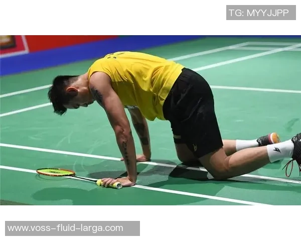 专业解读：成都羽毛球队的进攻打法