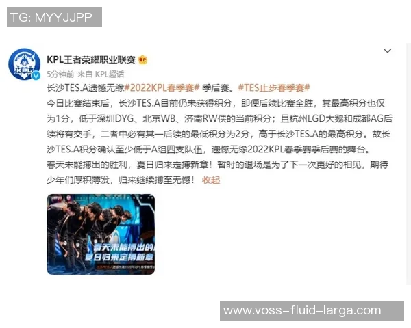 王者荣耀评论：TES的防反得失