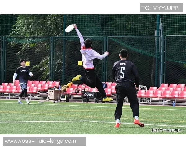 飞盘战术:北京飞盘队的反击体系 飞盘战术:北京飞盘队的反击体系