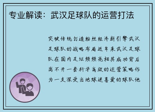 专业解读：武汉足球队的运营打法